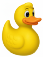 Virtual Duck Race duck