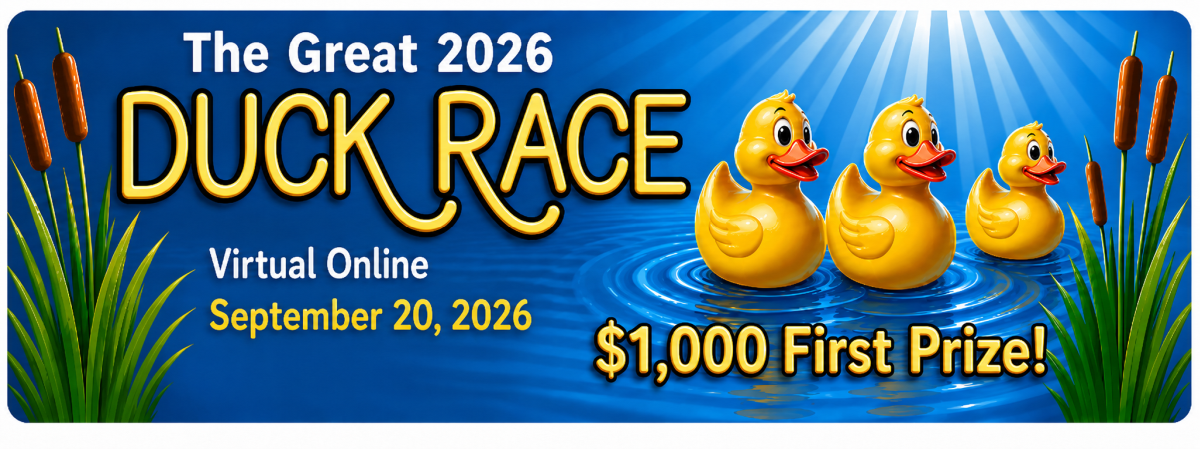 Great Duck Race Banner